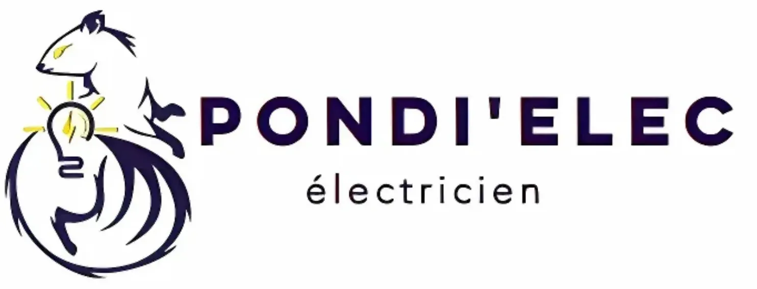 Pondi Elec logo